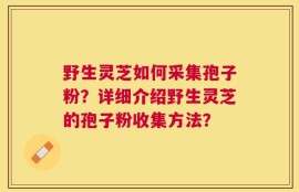 野生灵芝如何采集孢子粉？详细介绍野生灵芝的孢子粉收集方法？
