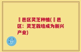 鄠邑区灵芝种植(鄠邑区：灵芝栽培成为新兴产业)