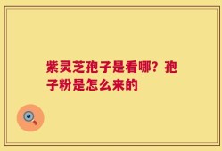紫灵芝孢子是看哪？孢子粉是怎么来的