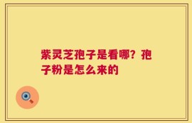 紫灵芝孢子是看哪？孢子粉是怎么来的