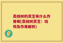 荔枝树的灵芝有什么作用呢(荔枝树灵芝：功效及作用解析)