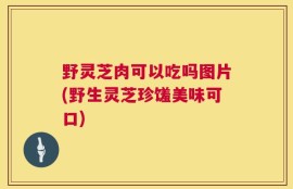 野灵芝肉可以吃吗图片(野生灵芝珍馐美味可口)