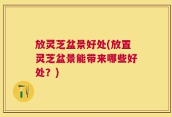 放灵芝盆景好处(放置灵芝盆景能带来哪些好处？)