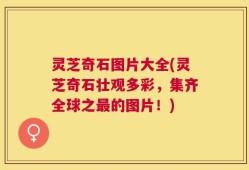 灵芝奇石图片大全(灵芝奇石壮观多彩，集齐全球之最的图片！)