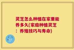 灵芝怎么种植在家里能养多久(家庭种植灵芝：养殖技巧与寿命)