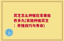 灵芝怎么种植在家里能养多久(家庭种植灵芝：养殖技巧与寿命)
