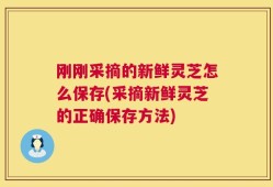 刚刚采摘的新鲜灵芝怎么保存(采摘新鲜灵芝的正确保存方法)