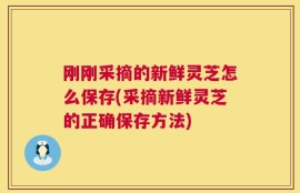 刚刚采摘的新鲜灵芝怎么保存(采摘新鲜灵芝的正确保存方法)