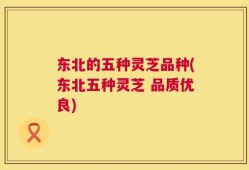 东北的五种灵芝品种(东北五种灵芝 品质优良)