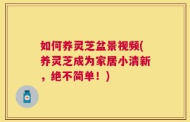 如何养灵芝盆景视频(养灵芝成为家居小清新，绝不简单！)