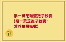 紫一灵芝破壁孢子胶囊(紫一灵芝孢子胶囊：营养更易吸收)