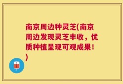 南京周边种灵芝(南京周边发现灵芝丰收，优质种植呈现可观成果！)