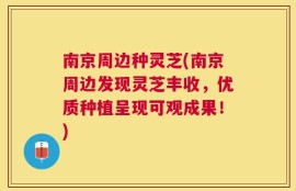 南京周边种灵芝(南京周边发现灵芝丰收，优质种植呈现可观成果！)