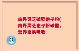 南丹灵芝破壁孢子粉(南丹灵芝孢子粉破壁，营养更易吸收
