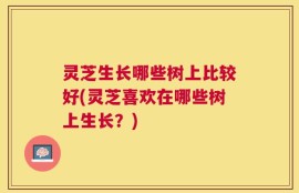 灵芝生长哪些树上比较好(灵芝喜欢在哪些树上生长？)