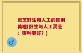 灵芝野生和人工的区别美瞳(野生与人工灵芝：哪种更好？)