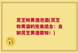 灵芝和黄酒泡酒(灵芝和黄酒的完美结合：自制灵芝黄酒需知！)