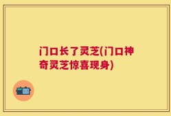门口长了灵芝(门口神奇灵芝惊喜现身)