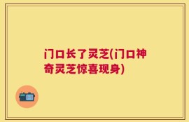 门口长了灵芝(门口神奇灵芝惊喜现身)