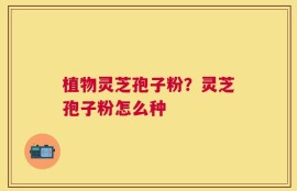 植物灵芝孢子粉？灵芝孢子粉怎么种