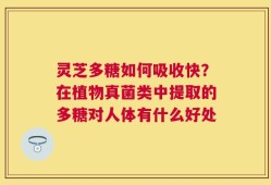 灵芝多糖如何吸收快？在植物真菌类中提取的多糖对人体有什么好处