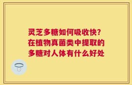 灵芝多糖如何吸收快？在植物真菌类中提取的多糖对人体有什么好处
