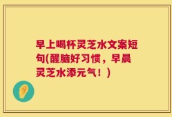 早上喝杯灵芝水文案短句(醒脑好习惯，早晨灵芝水添元气！)