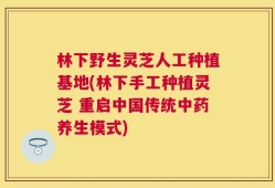 林下野生灵芝人工种植基地(林下手工种植灵芝 重启中国传统中药养生模式)