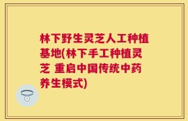 林下野生灵芝人工种植基地(林下手工种植灵芝 重启中国传统中药养生模式)