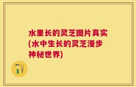 水里长的灵芝图片真实(水中生长的灵芝漫步神秘世界)