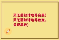 灵芝菌丝球培养变黑(灵芝菌丝球培养色变，呈现黑色)