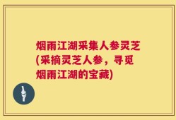烟雨江湖采集人参灵芝(采摘灵芝人参，寻觅烟雨江湖的宝藏)