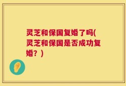 灵芝和保国复婚了吗(灵芝和保国是否成功复婚？)