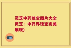 灵芝中药瑰宝图片大全灵芝：中药界瑰宝完美展现)