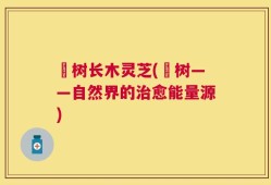 槡树长木灵芝(槡树——自然界的治愈能量源)