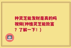 种灵芝能发财是真的吗视频(种植灵芝能致富？了解一下！)