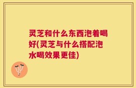 灵芝和什么东西泡着喝好(灵芝与什么搭配泡水喝效果更佳)