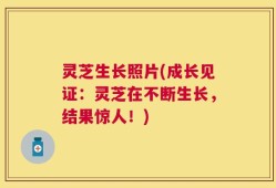 灵芝生长照片(成长见证：灵芝在不断生长，结果惊人！)