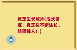 灵芝生长照片(成长见证：灵芝在不断生长，结果惊人！)