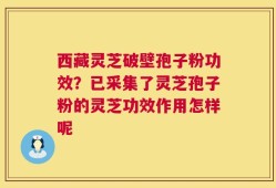 西藏灵芝破壁孢子粉功效？已采集了灵芝孢子粉的灵芝功效作用怎样呢