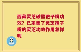 西藏灵芝破壁孢子粉功效？已采集了灵芝孢子粉的灵芝功效作用怎样呢