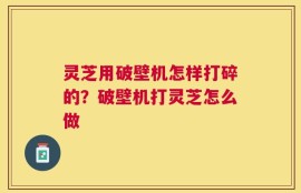 灵芝用破壁机怎样打碎的？破壁机打灵芝怎么做