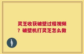 灵芝收获破壁过程视频？破壁机打灵芝怎么做