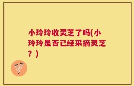 小玲玲收灵芝了吗(小玲玲是否已经采摘灵芝？)