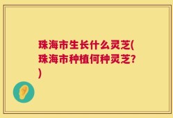 珠海市生长什么灵芝(珠海市种植何种灵芝？)