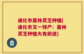 通化市嘉林灵芝种植(通化市又一特产：嘉林灵芝种植大有前途)