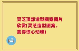 灵芝顶部造型图案图片欣赏(灵芝造型图案，美得惊心动魄)