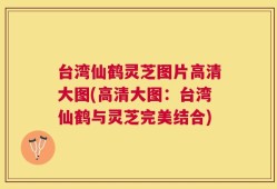 台湾仙鹤灵芝图片高清大图(高清大图：台湾仙鹤与灵芝完美结合)