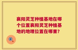襄阳灵芝种植基地在哪个位置襄阳灵芝种植基地的地理位置在哪里？