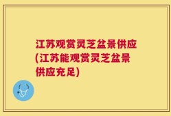 江苏观赏灵芝盆景供应(江苏能观赏灵芝盆景供应充足)